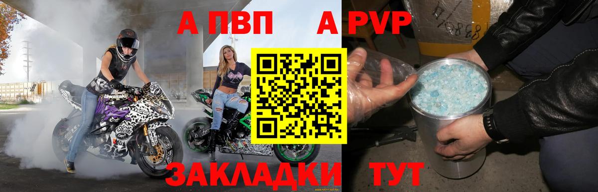 Альфа ПВП СК Урус-Мартан