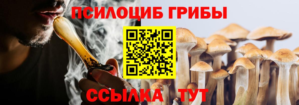 Псилоцибиновые грибы Psilocybine cubensis  Вход с VPN  Урус-Мартан 